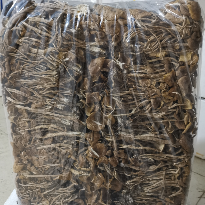 大量供应