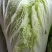 大白菜