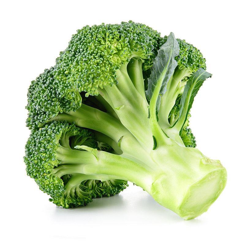 炎秀西兰花苗耐寒**西兰花苗免费技术指导包回收