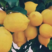 安岳柠檬黄柠檬产地直供果面干净可供商超社区团购等