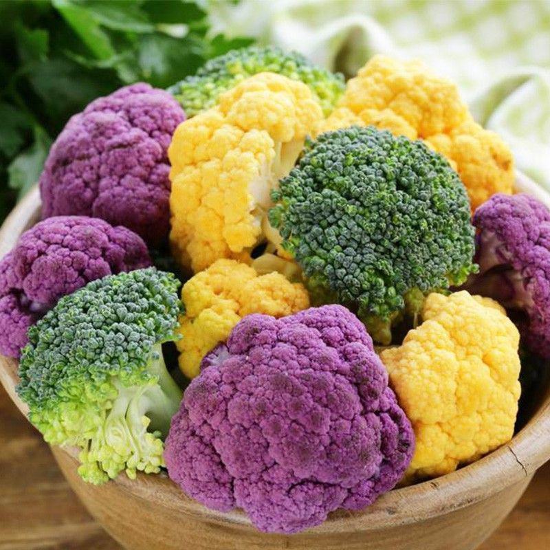 白花菜花苗实菜花苗宝塔花菜苗花椰菜苗花菜苗包回收