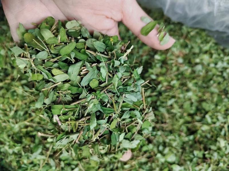 广西特产鸡骨草鸡骨草切碎泡茶泡水煮汤产地直批1人看过