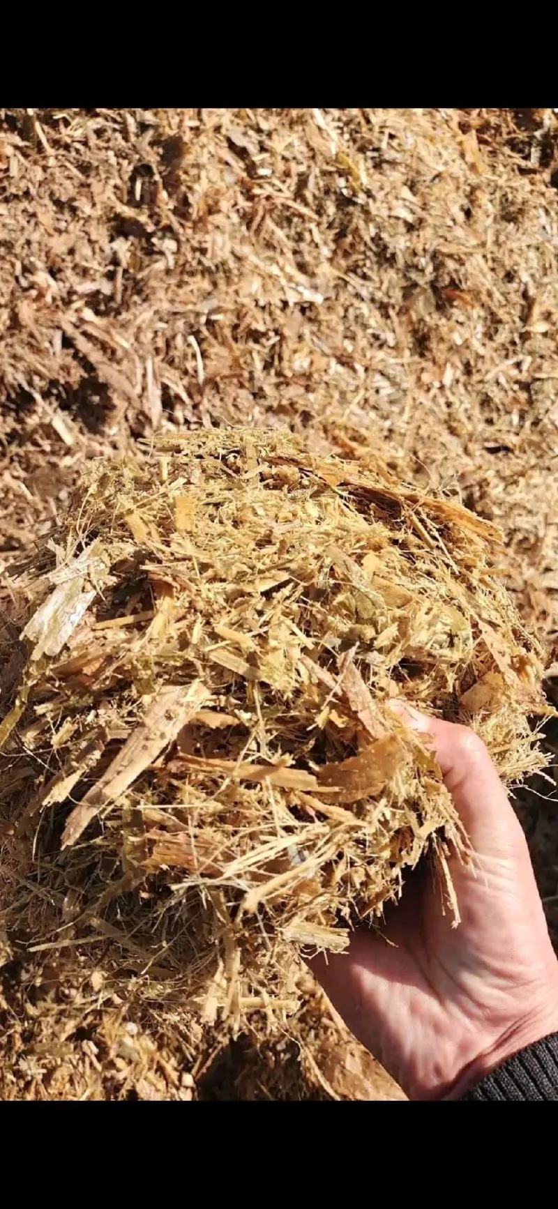 玉米秸秆粉碎柔丝青储黄储