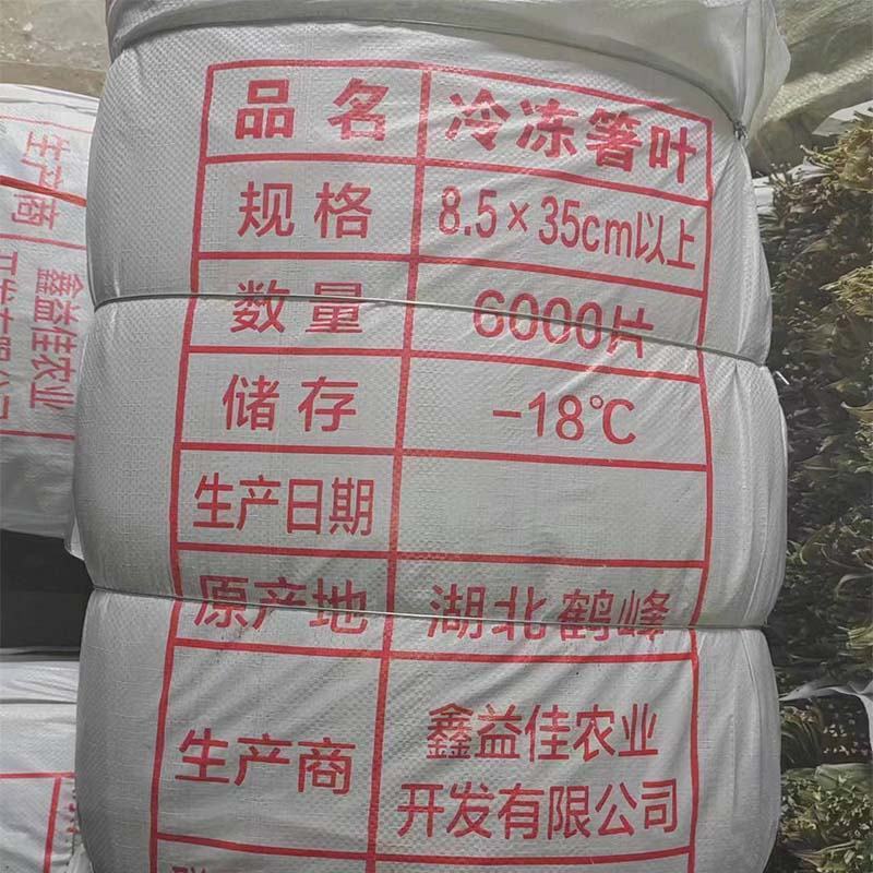 鑫益佳新鲜粽叶野生箬叶冷冻箬叶速冻粽子叶几万片