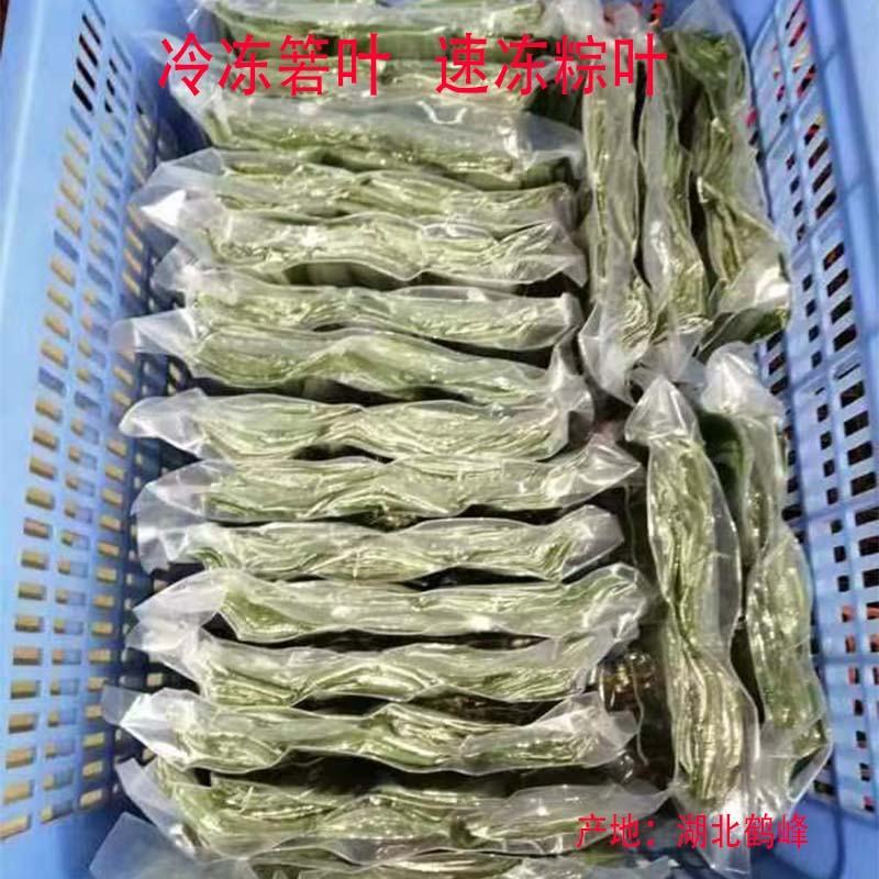 鑫益佳新鲜粽叶野生箬叶冷冻箬叶速冻粽子叶几万片