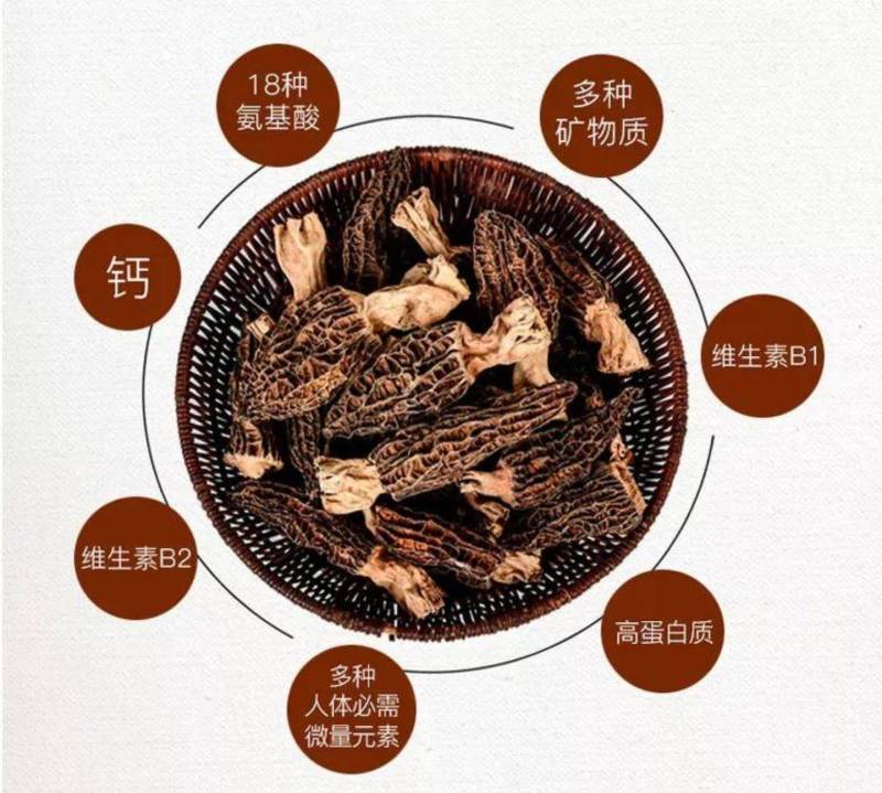 【羊肚菌】头茬羊肚菌各种规格齐全一手货源量大从优