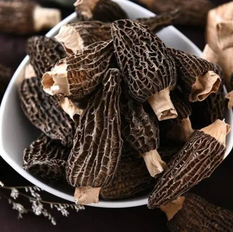 【羊肚菌】头茬羊肚菌各种规格齐全一手货源量大从优