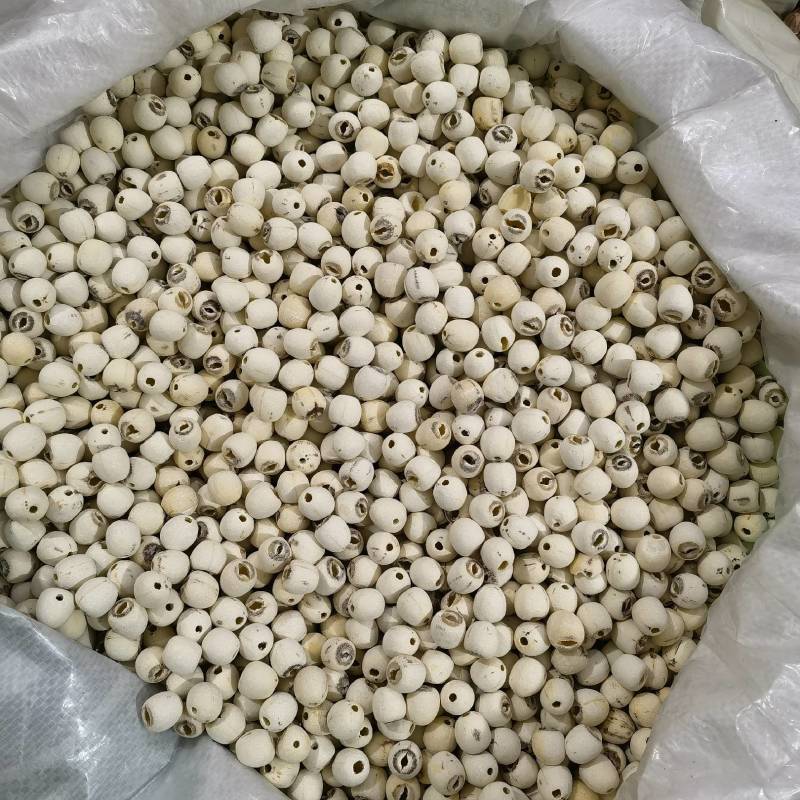 土茯苓大颗粒价格合适需要联系过12号筛的颗粒