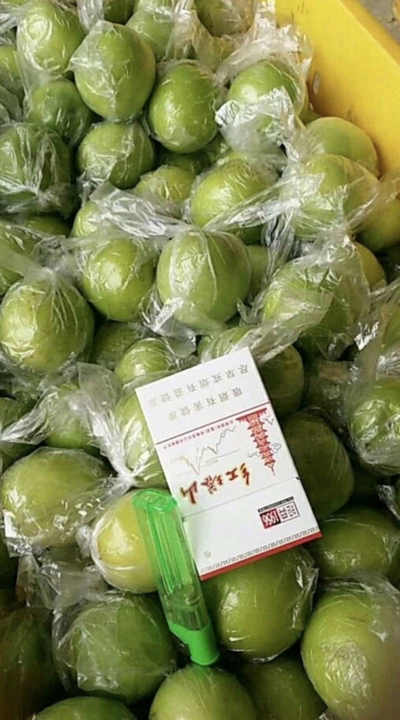 【精品推荐】台湾蜜丝枣脆甜青枣产地直发量大从优视频看货