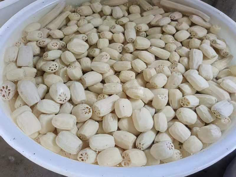 莲藕/藕片，精品货品，保质保量欢迎