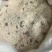 坚果藕粉。。。。健康美食。。。。。。。火爆热卖。。。。。