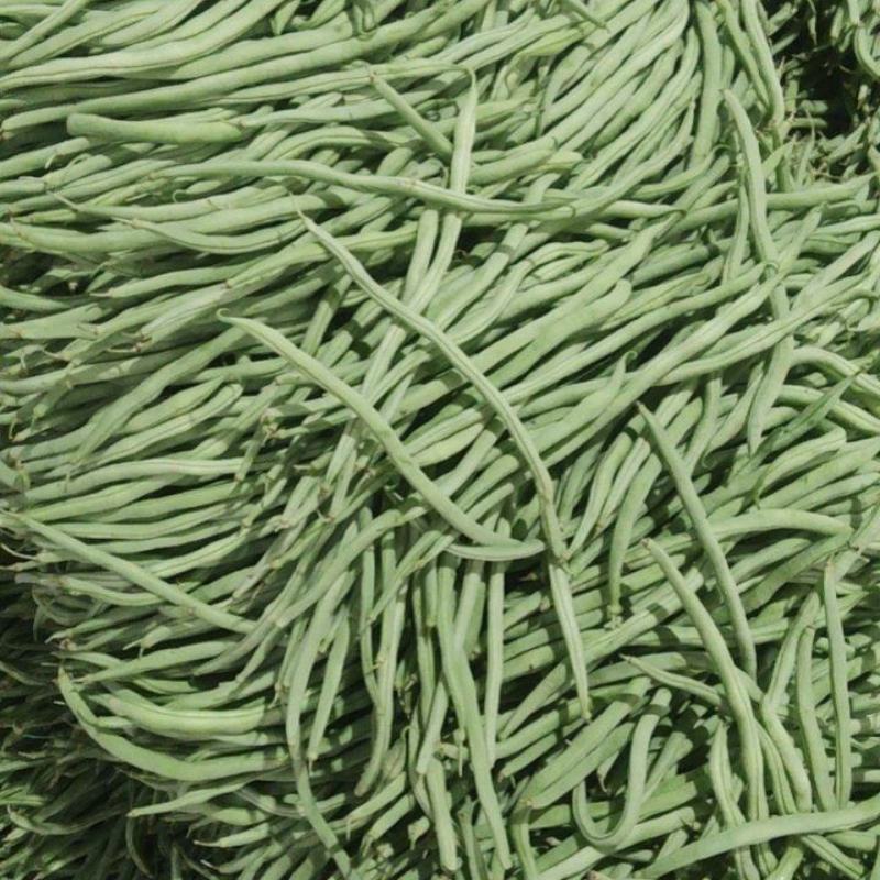精品无茎豆