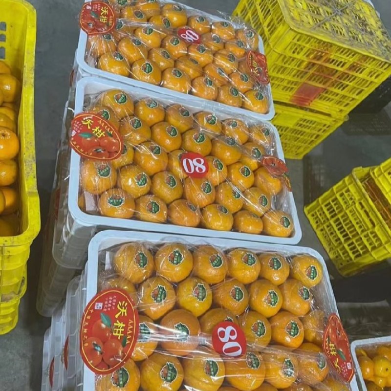 精品沃柑大量上市，质优价美，服务完善，走货便利欢迎咨询