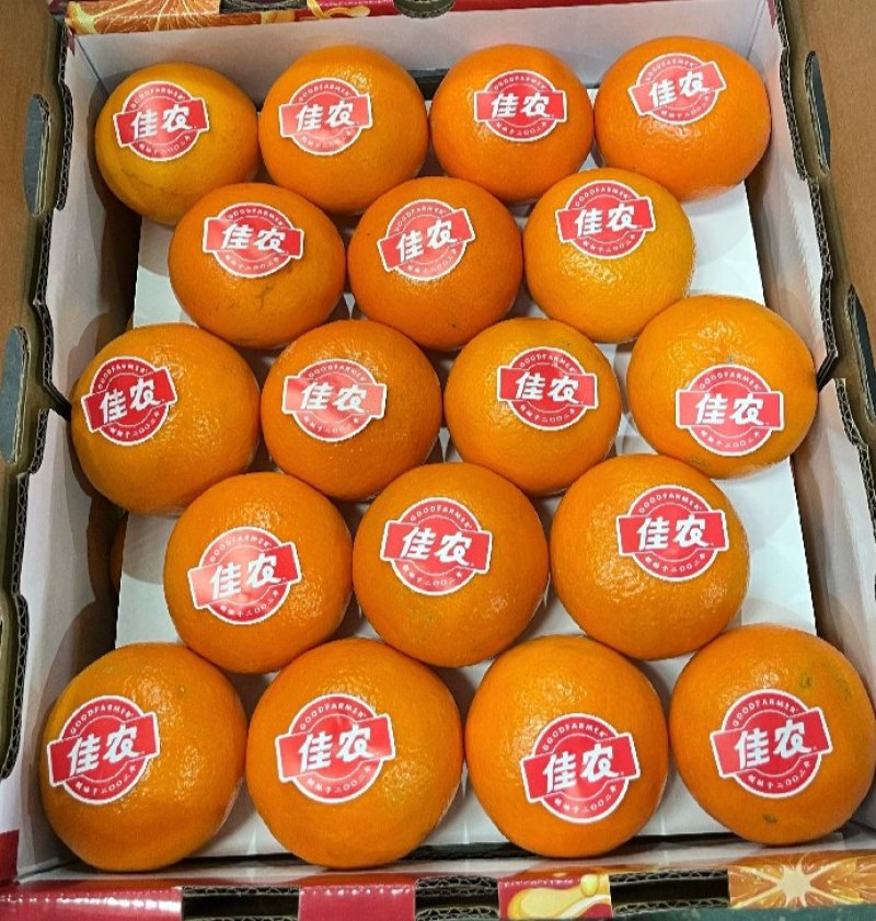 精品沃柑大量上市，质优价美，服务完善，走货便利欢迎咨询