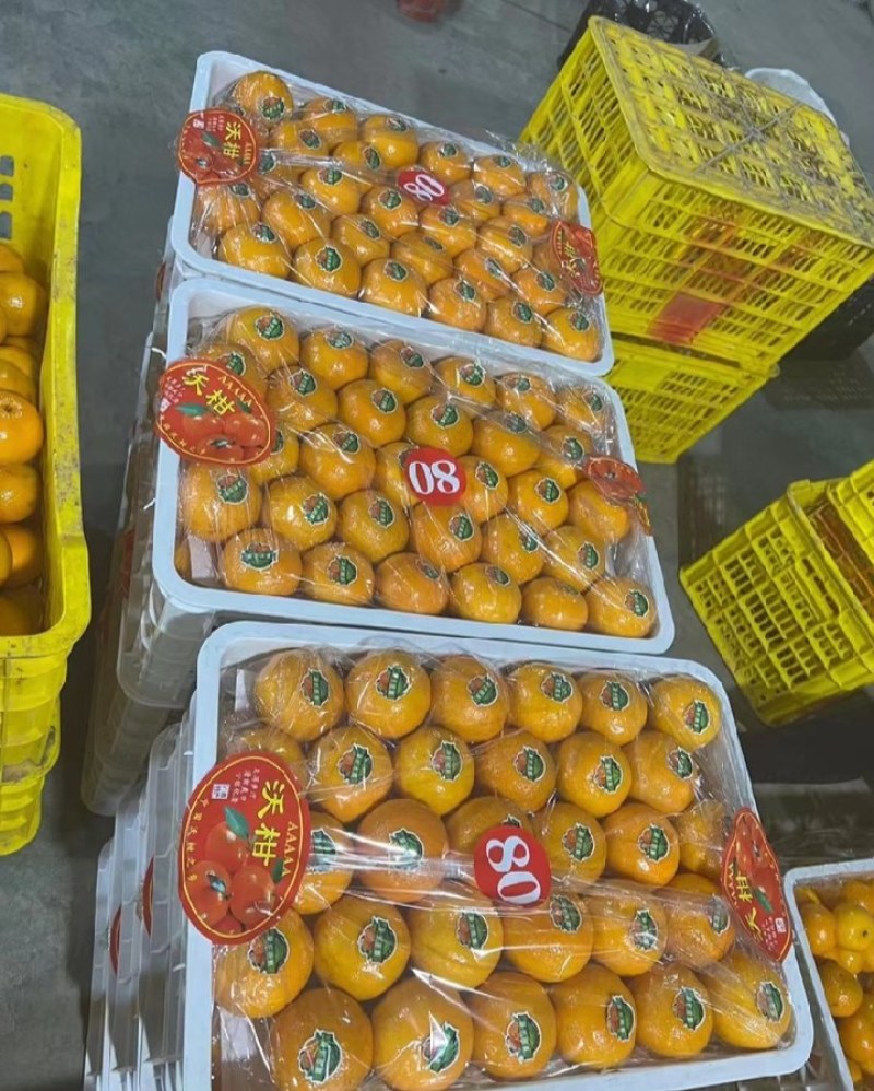 精品沃柑大量上市，质优价美，服务完善，走货便利欢迎咨询