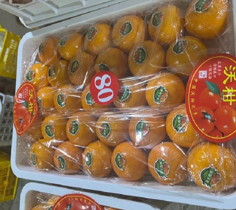 精品沃柑大量上市，质优价美，服务完善，走货便利欢迎咨询