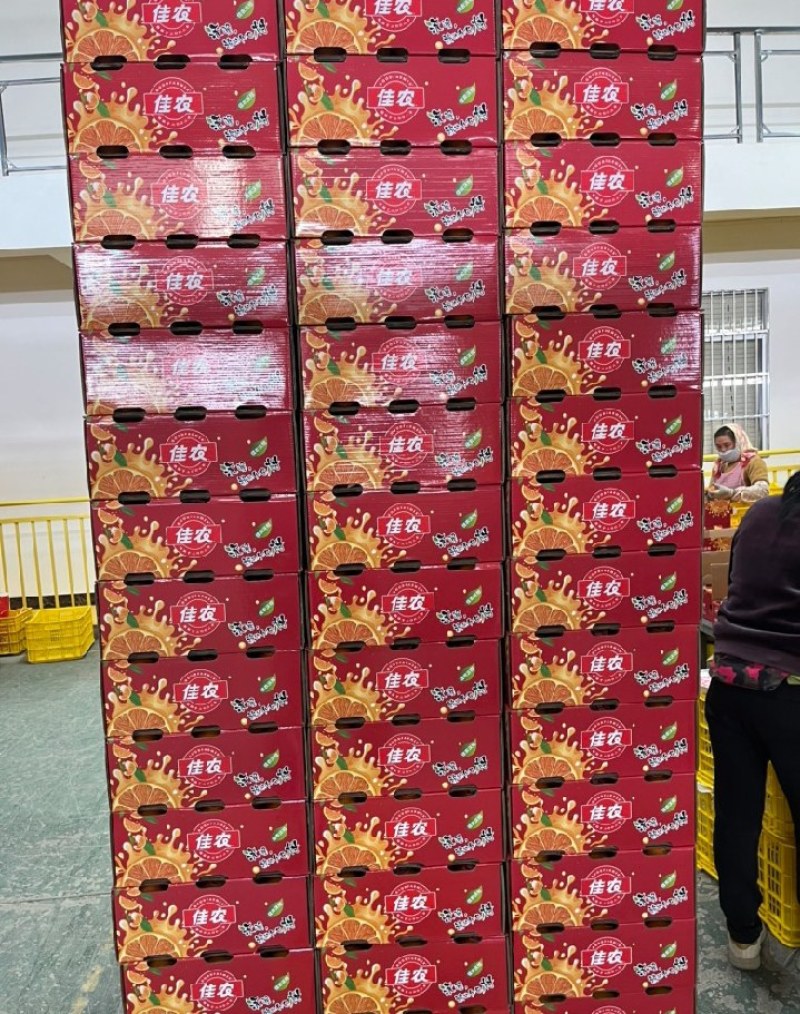 精品沃柑大量上市，质优价美，服务完善，走货便利欢迎咨询
