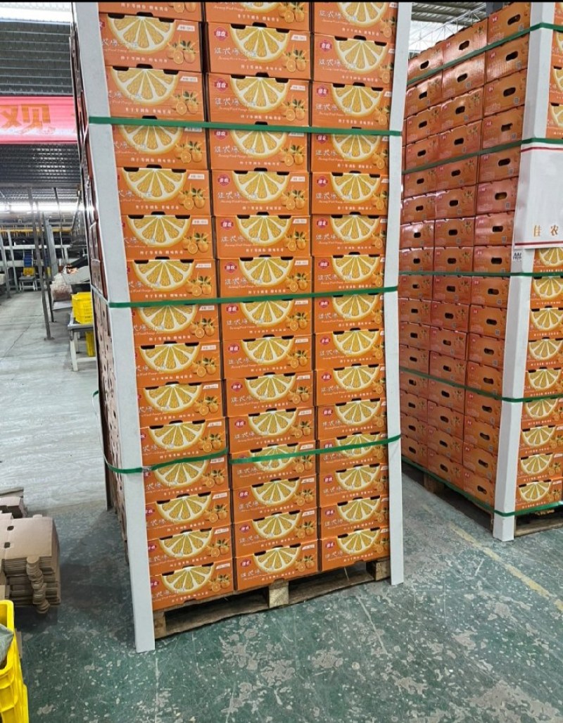 精品沃柑大量上市，质优价美，服务完善，走货便利欢迎咨询