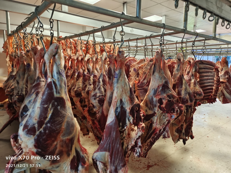 屠宰场直销清真牦牛肉腱子肉里脊肉大量批发牛肉牛腩牛排
