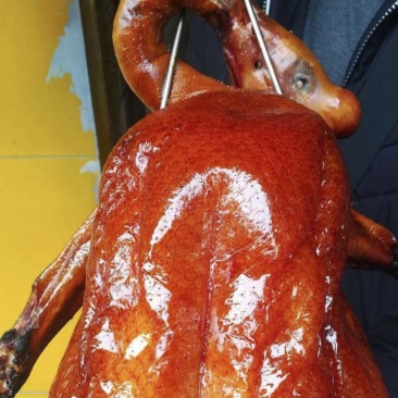 琵琶脆皮烧鹅（半成品），20一斤已腌制上脆皮水