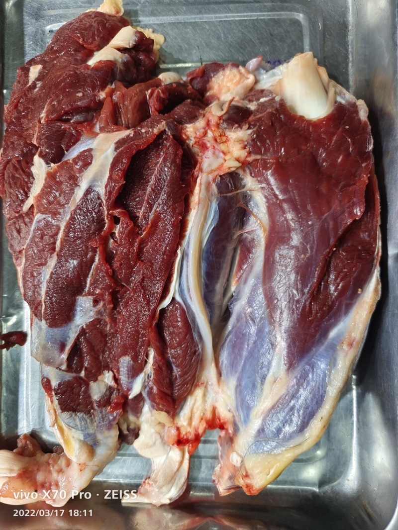 屠宰场直销清真牦牛肉腱子肉里脊肉大量批发牛肉牛腩牛排