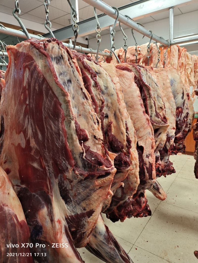 屠宰场直销清真牦牛肉腱子肉里脊肉大量批发牛肉牛腩牛排
