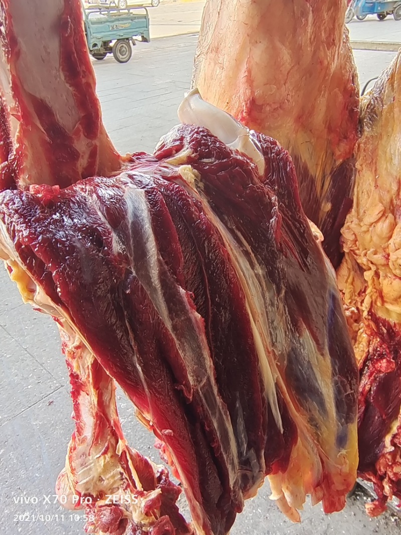 屠宰场直销清真牦牛肉腱子肉里脊肉大量批发牛肉牛腩牛排