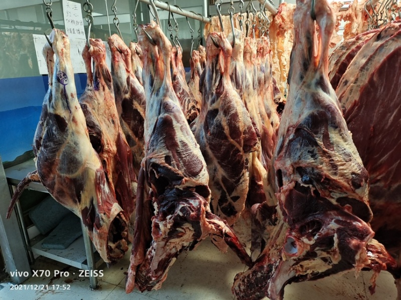 屠宰场直销清真牦牛肉腱子肉里脊肉大量批发牛肉牛腩牛排