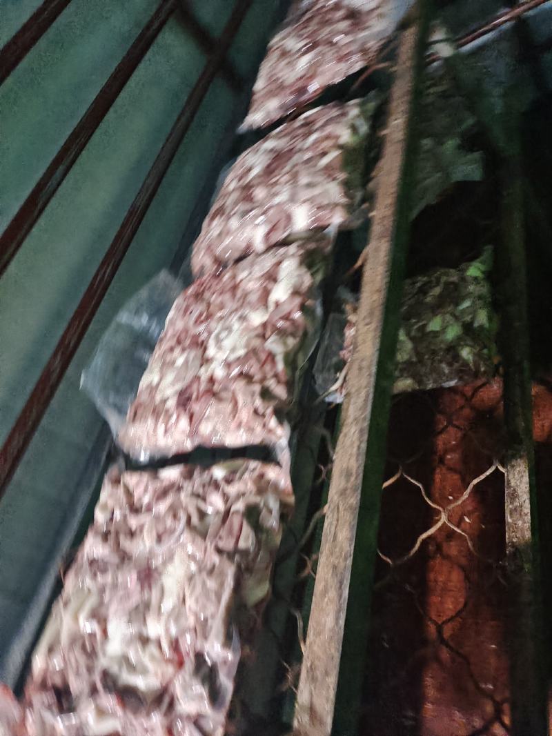 精品半成品牛杂（无，肝，肺，皮，牛头）厂家直销全国包邮
