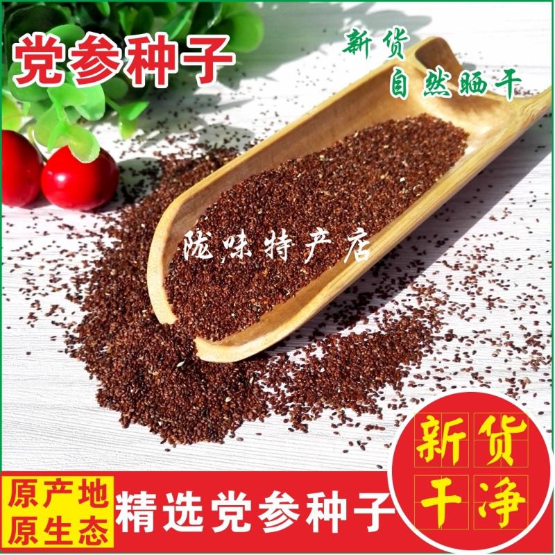 正品党参种子特级新鲜党参种籽岷县中药材当参党归黄芪苗种孑
