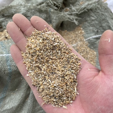 碎小麦适合鸡鸭鹅养殖户各种货都有欢迎咨询