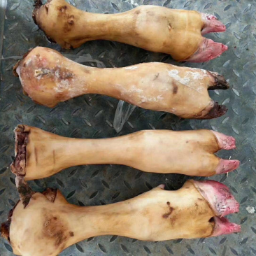 屠宰场直销牛蹄火烧牛蹄大量批发，商用