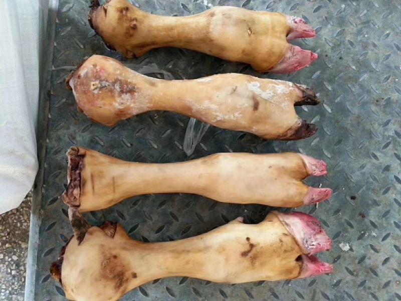 屠宰场直销牛蹄火烧牛蹄大量批发，商用