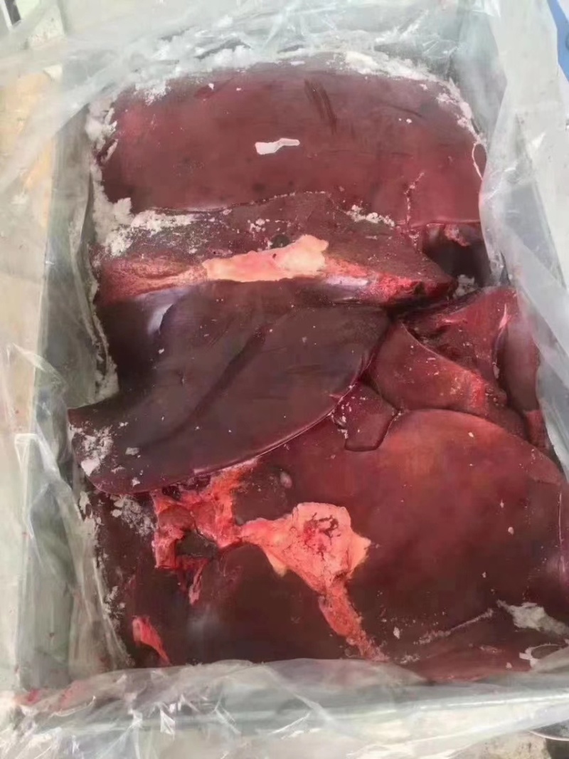 青海牦牛牛肝大量批发商用