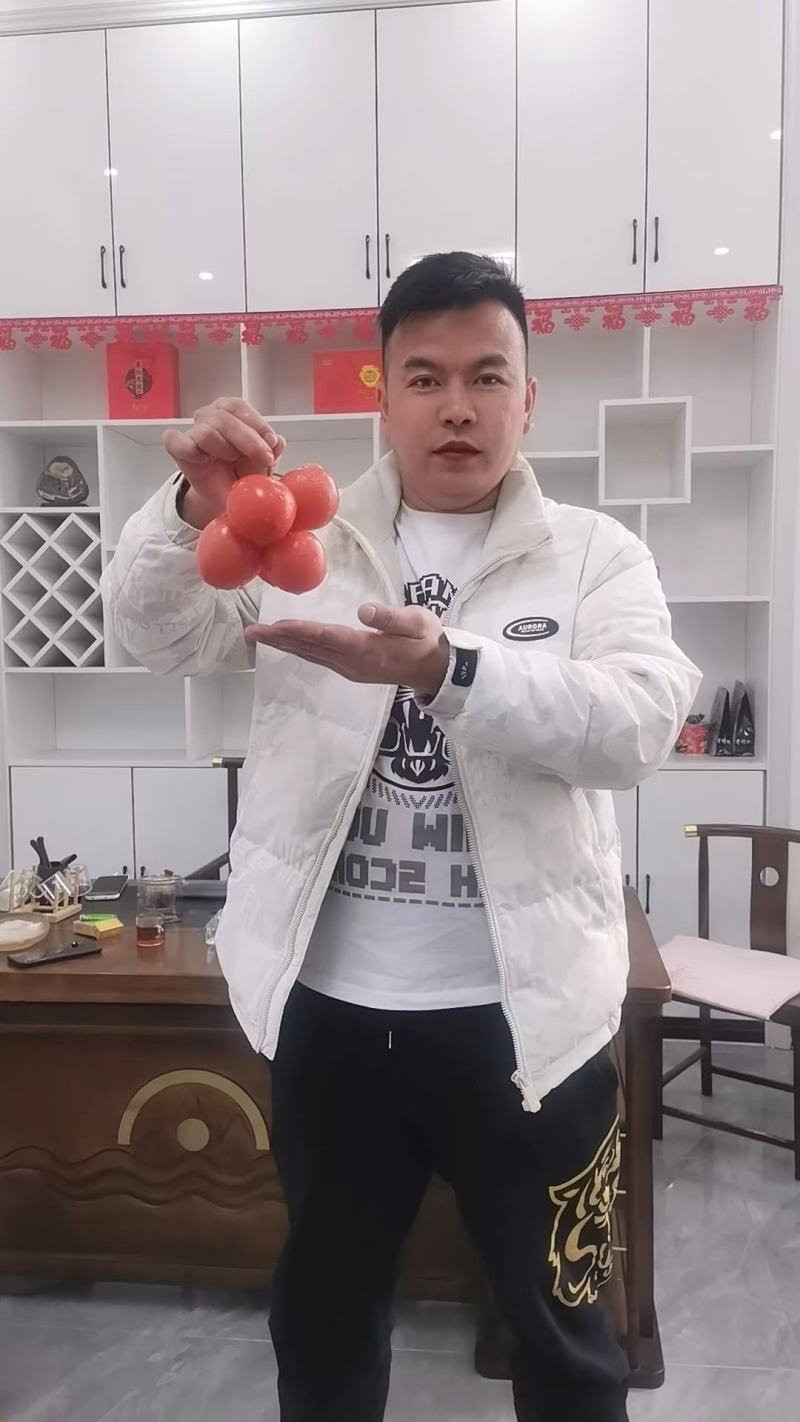 【牛商优选】万亩货源硬粉西红柿诚信经营实力代办