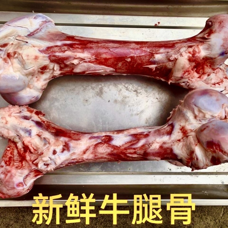 牦牛牛骨髓棒子骨批发商用