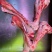 牦牛牛骨髓棒子骨批发商用