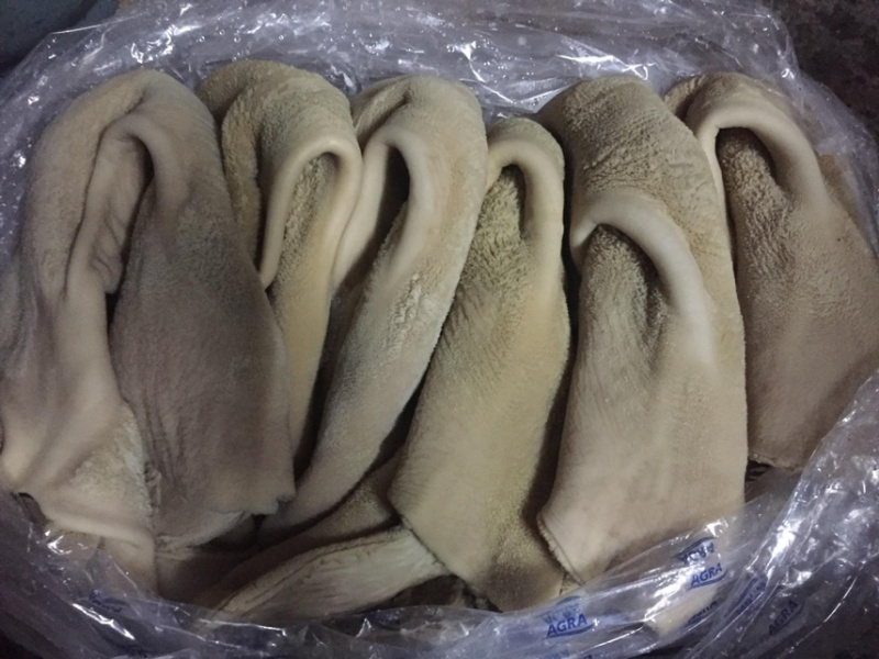 清真青海牦牛牛肚处理干净牛肚，毛肚屠宰场批发