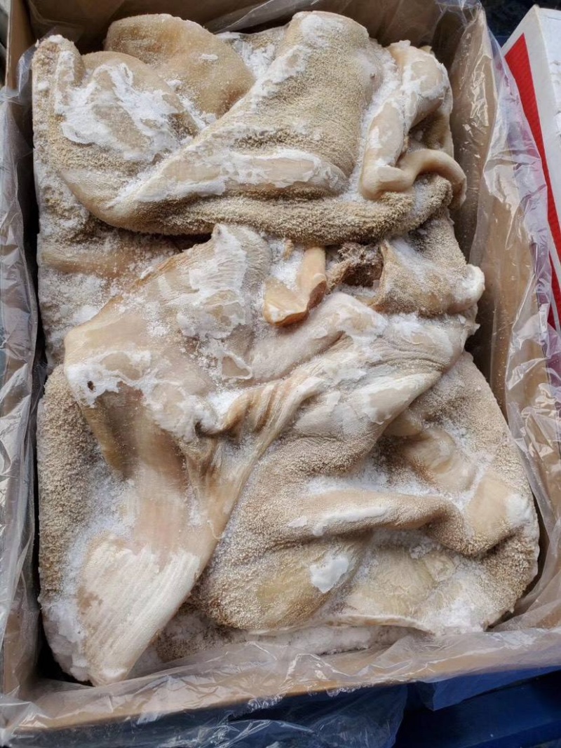 清真青海牦牛牛肚处理干净牛肚，毛肚屠宰场批发