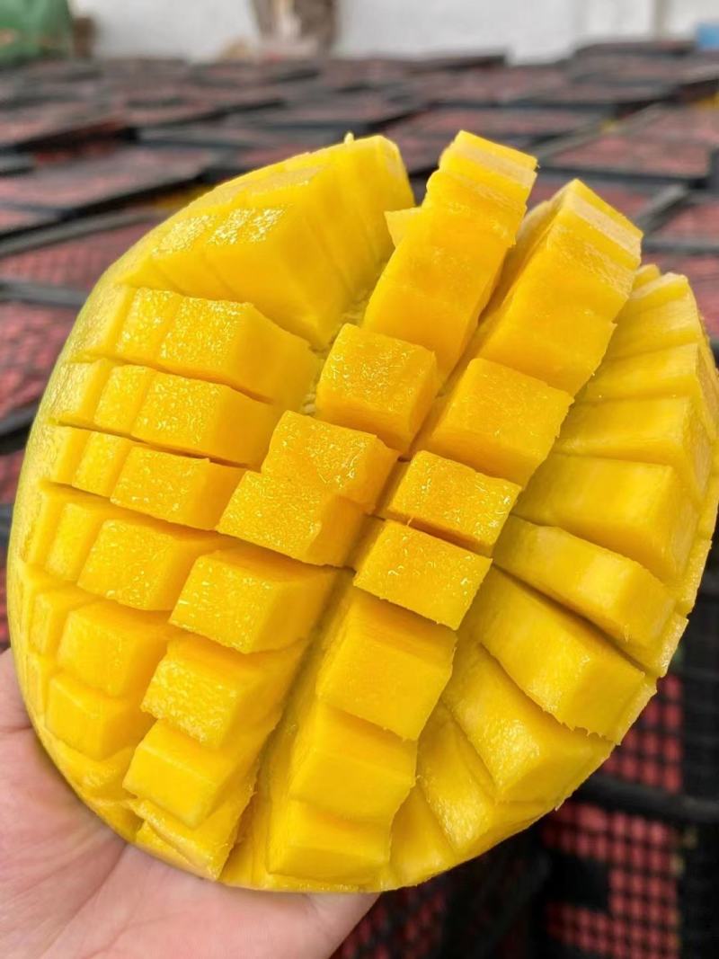 越南大青芒