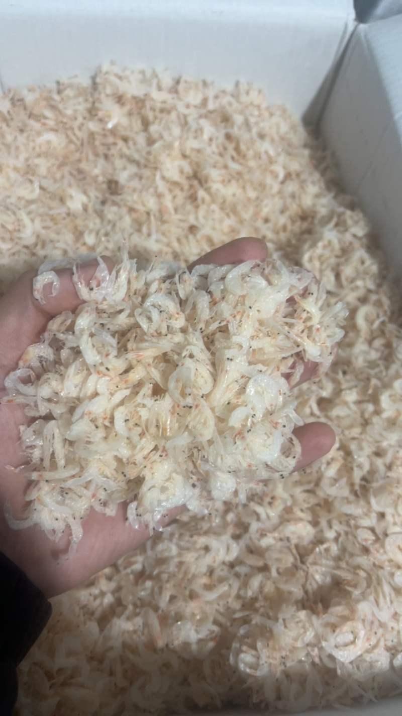 淡干虾皮35元一斤