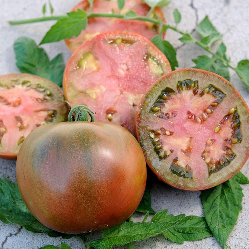 冰糖酸甜果水果番茄种子