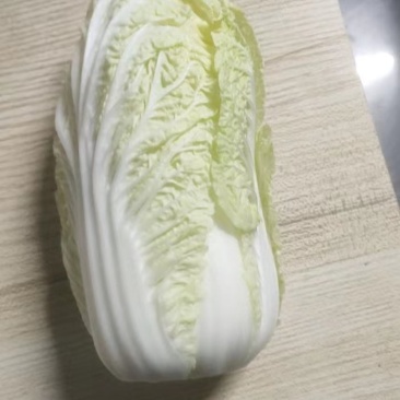 大白菜