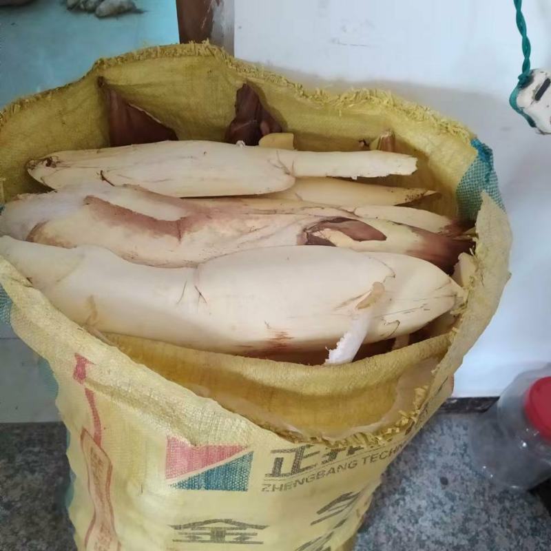 棕包出售