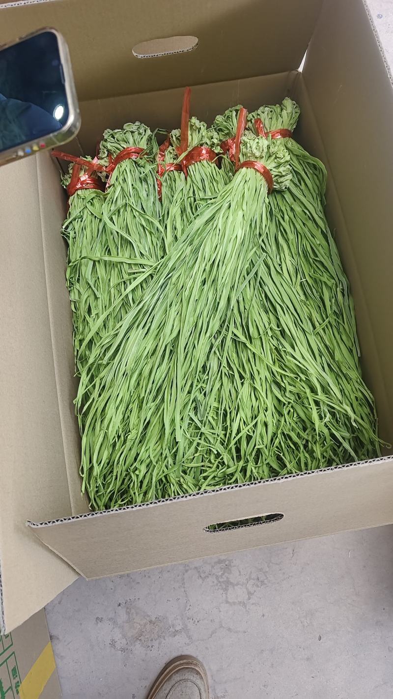 云南贡菜产地直销一手货源品质保证欢迎咨询下单选购