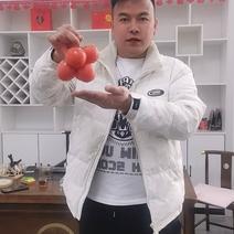 串果西红柿