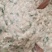 胶东特色手工鲅鱼水饺