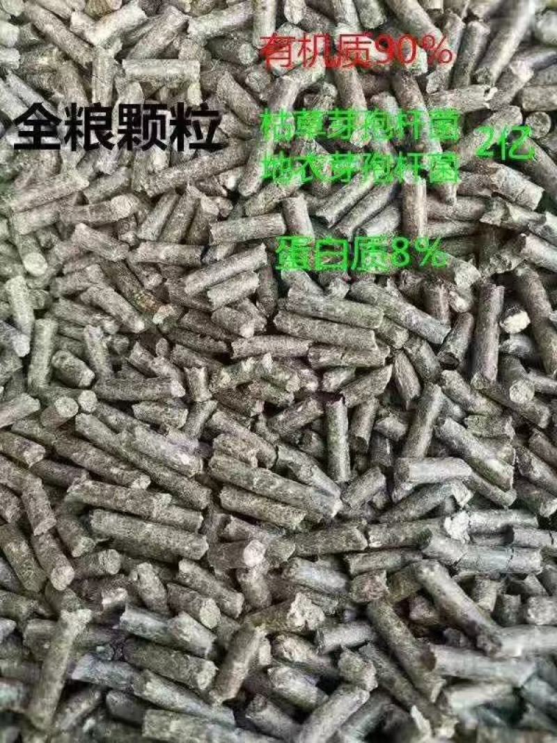 山东生物有机肥全粮颗粒厂家供货一手货源量大价优