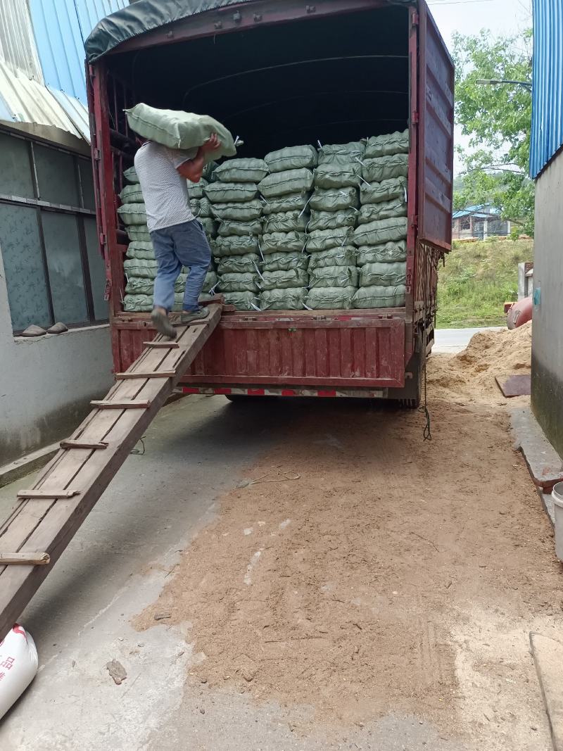 茯苓菌种，提供优质高产菌种，长期技术指导，大量收购鲜茯苓