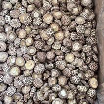 产地精挑细选优质花菇春栽冬菇，身干无杂，质优价廉